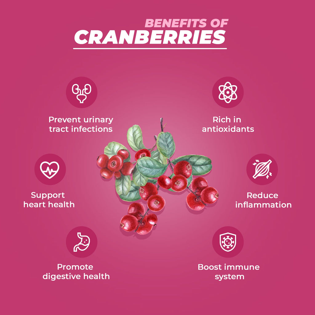 Pureheart Dried Cranberries  | Naturally Sweet & Tangy Cranberry Dry Fruit | Healthy Snack, Antioxidant Rich, High Fiber Superfood | Cranberry for Salad, Baking & Trail Mix
