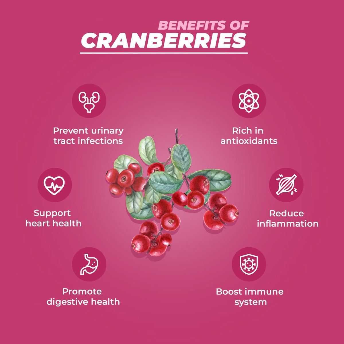 Pureheart Dried Cranberries  | Naturally Sweet & Tangy Cranberry Dry Fruit | Healthy Snack, Antioxidant Rich, High Fiber Superfood | Cranberry for Salad, Baking & Trail Mix